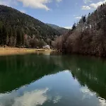 Bocksbergglueck In Hahnenklee, Endreinigung, Bezogene Betten, Handtuecher Inklusive *