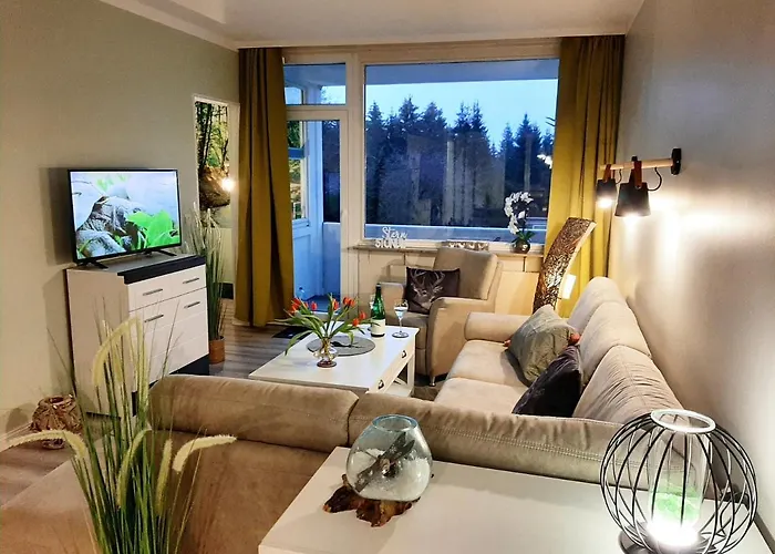 Bocksbergglueck In Hahnenklee, Endreinigung, Bezogene Betten, Handtuecher Inklusive Daire