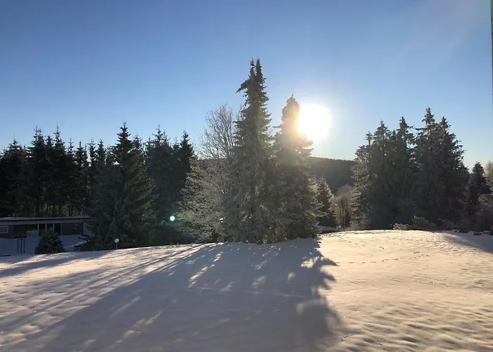 Bocksbergglueck In Hahnenklee, Endreinigung, Bezogene Betten, Handtuecher Inklusive * Goslar