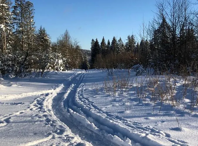 Bocksbergglueck In Hahnenklee, Endreinigung, Bezogene Betten, Handtuecher Inklusive Daire *