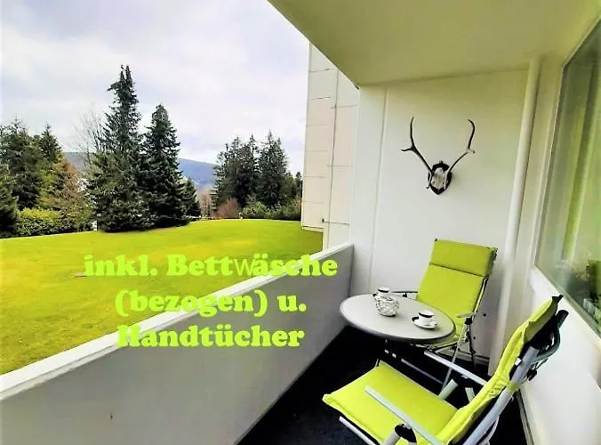 Bocksbergglueck In Hahnenklee, Endreinigung, Bezogene Betten, Handtuecher Inklusive Goslar